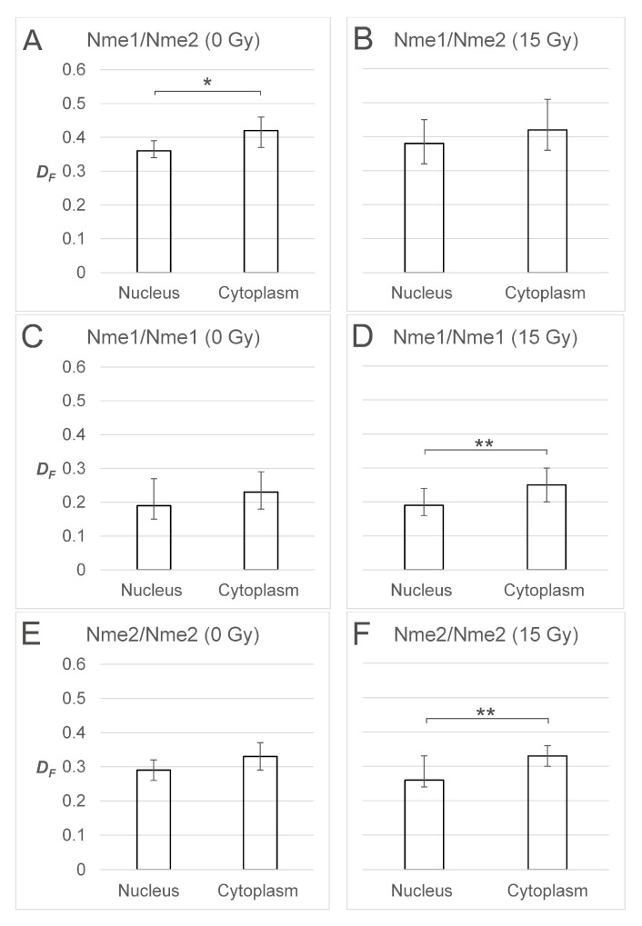 Comparison of NME1/NME2 molecular dynamics between the nucleus and cytoplasm before and after gamma irradiation.