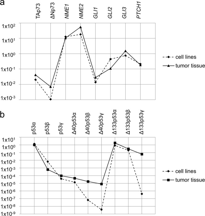 Comparison of p53-family, NME and GLI expression profiles between metastatic melanoma tissue and melanoma cell lines.